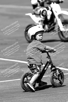 media/Sep-25-2023-Moto Forza (Mon) [[81ffa65e0a]]/Around the Pits/
